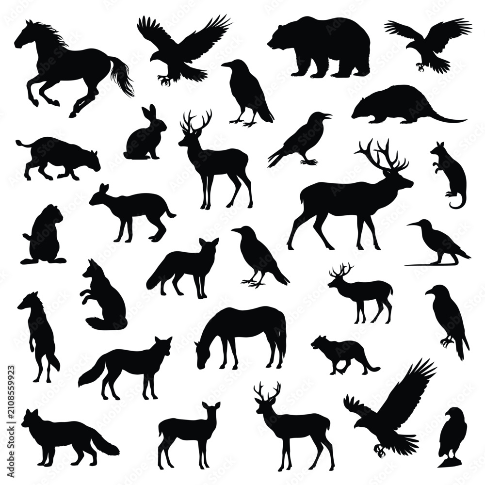 Fototapeta premium Animal Silhouettes Collection Black Shapes On White Background