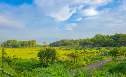 Scenic green rice terraces in Central Java Indonesia under dramatic blue sky and tropical landscape.