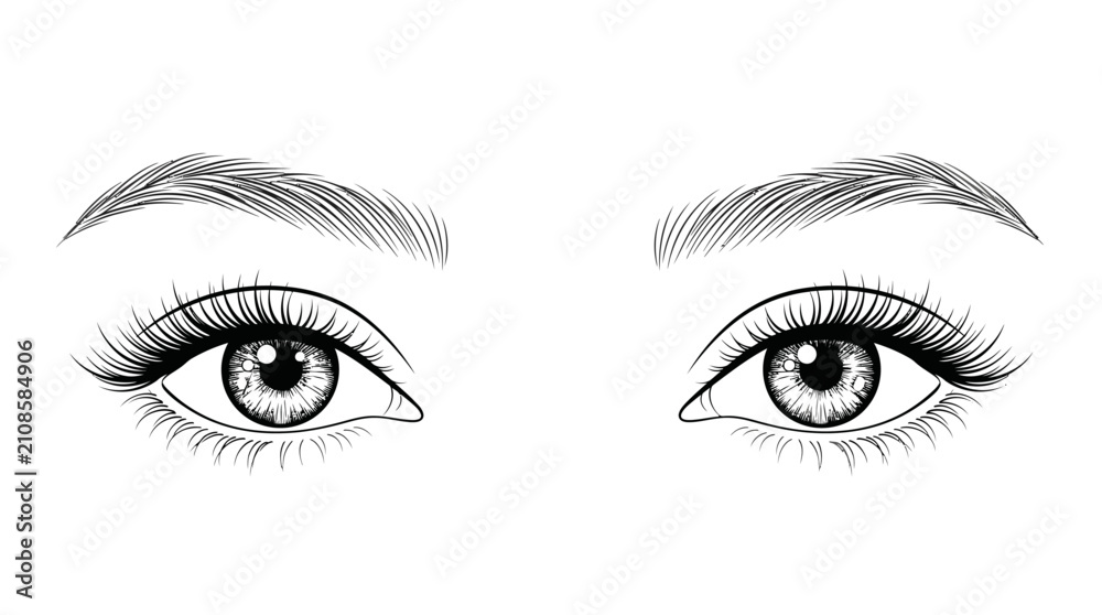 Fototapeta premium Detailed Hand Drawn Female Eyes and Eyebrows Vector Illustration