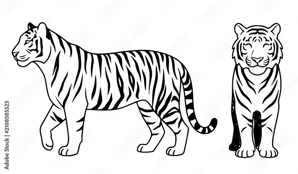 Fototapeta premium Modern Flat Tiger Character Side and Front View Vector Collection on White