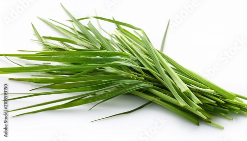 Fresh Green Cut Wild Grass Stems Isolated On White Background