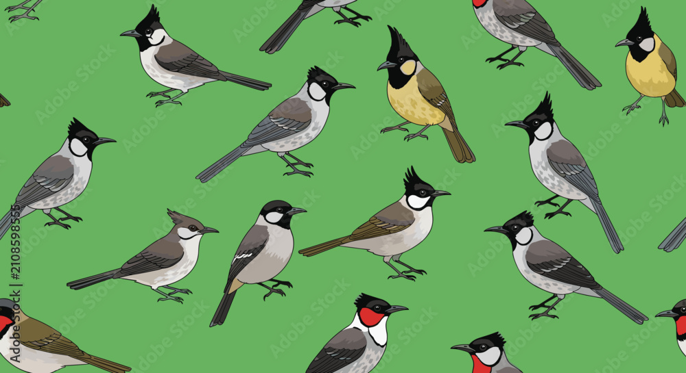 Fototapeta premium Beautiful seamless pattern featuring diverse crested bulbul bird species perched and looking around on a green background.