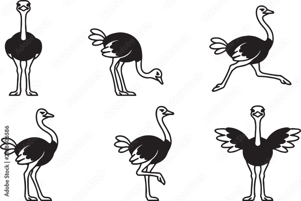 Obraz premium Set of ostriches. Hand drawn vector illustration