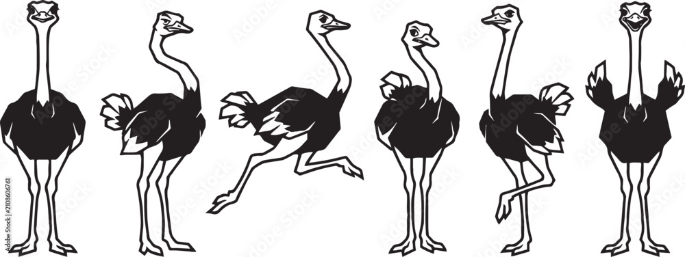 Fototapeta premium Set of ostriches. Hand drawn vector illustration