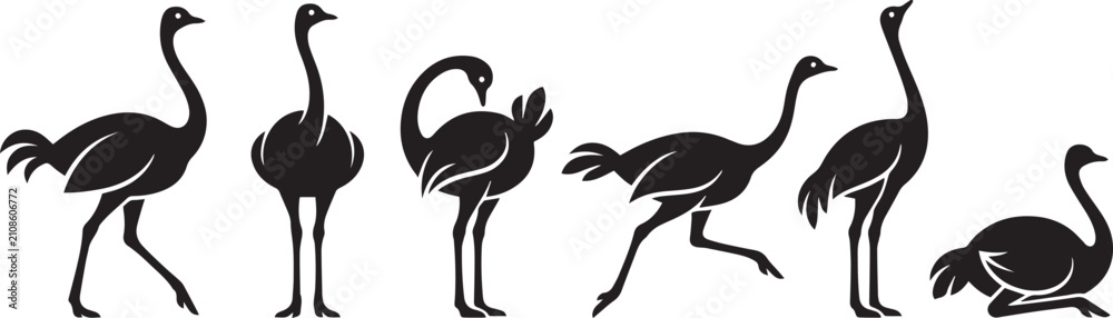 Fototapeta premium Set of ostriches. Hand drawn vector illustration