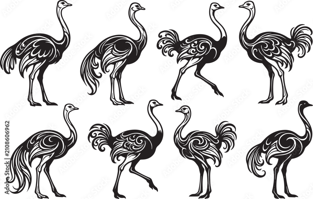 Fototapeta premium Set of ostriches. Hand drawn vector illustration