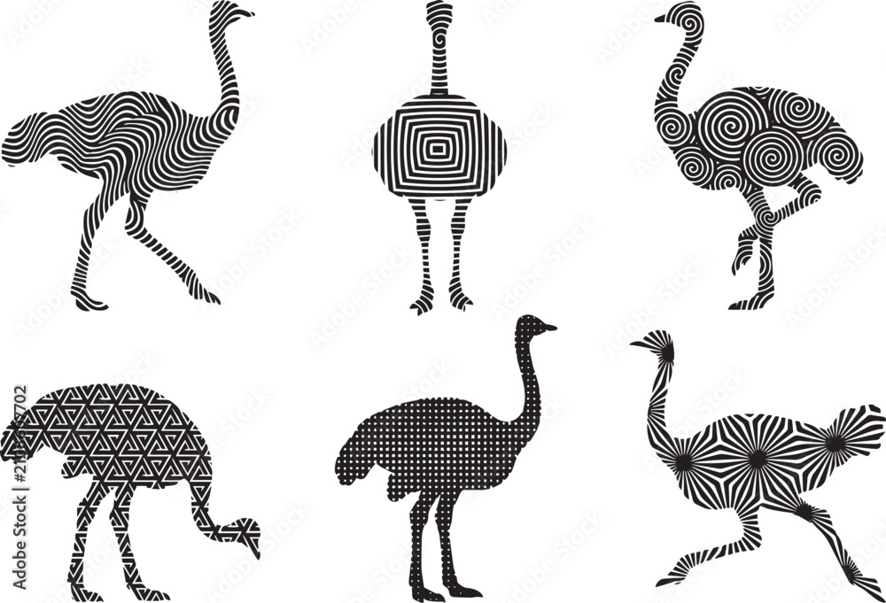 Fototapeta premium Set of ostriches. Hand drawn vector illustration