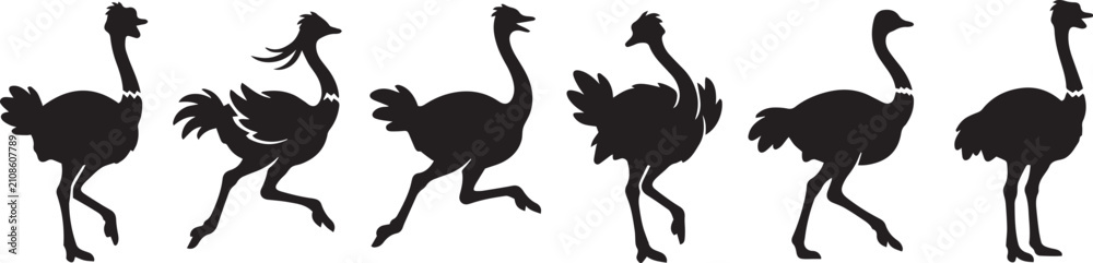 Fototapeta premium Set of ostriches. Hand drawn vector illustration