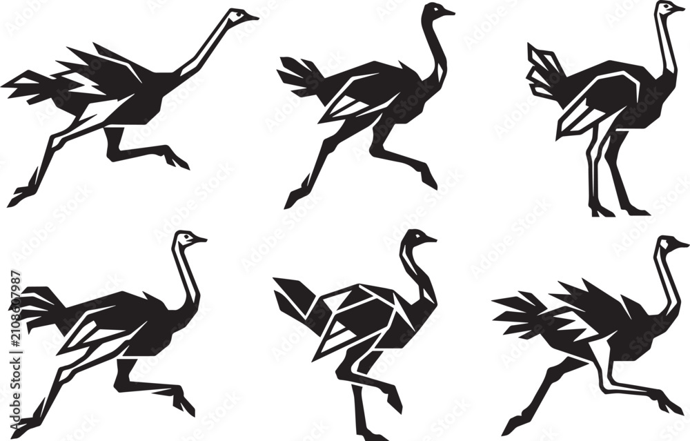 Fototapeta premium Set of ostriches. Hand drawn vector illustration