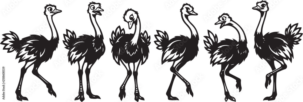 Fototapeta premium Set of ostriches. Hand drawn vector illustration