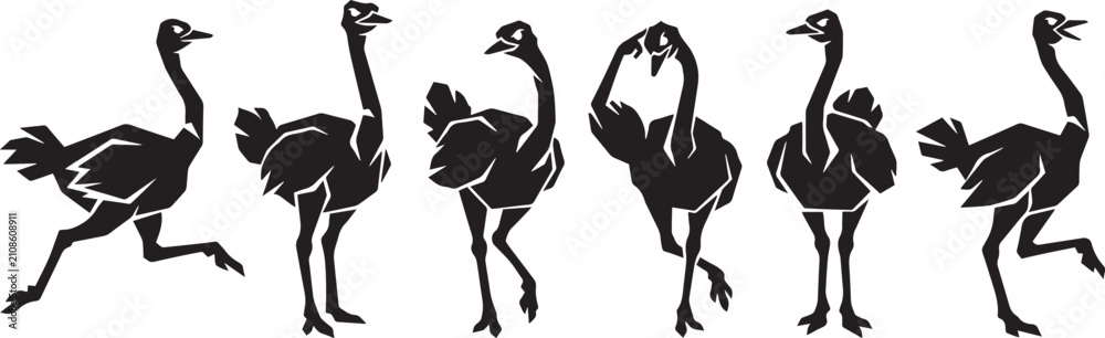 Obraz premium Set of ostriches. Hand drawn vector illustration