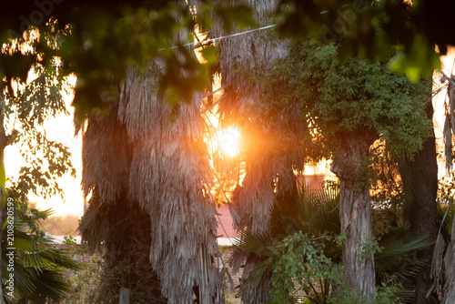 Fototapeta atardecer