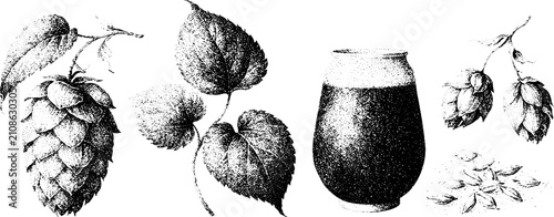 Vintage engraved hop cones leaves beer glass and grain set for craft beer label and packaging design elements