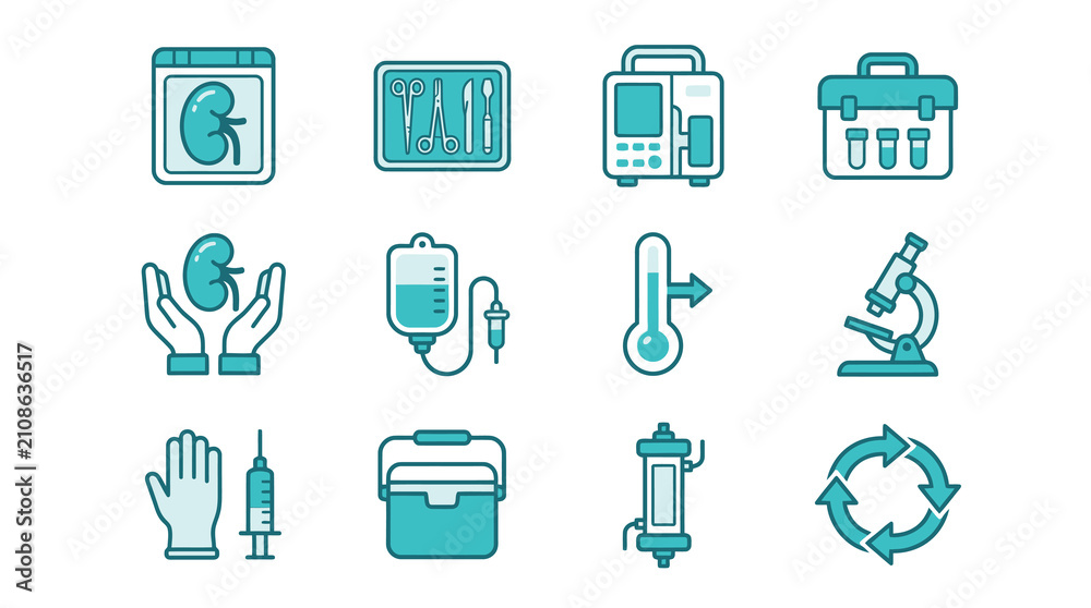 Fototapeta premium Kidney health and dialysis icon collection.