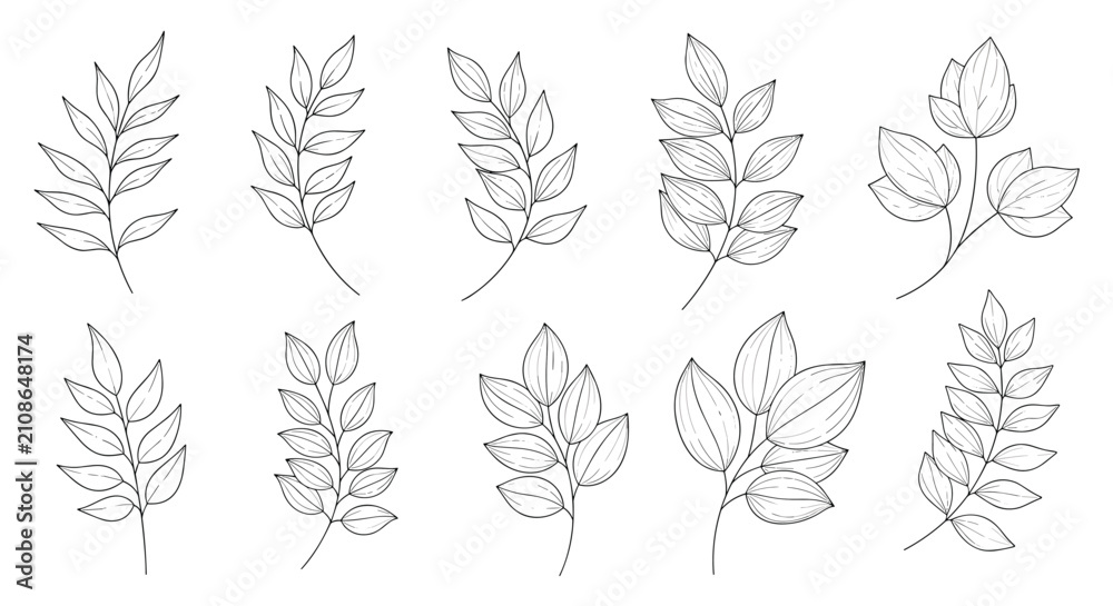 Obraz premium Set of ten hand drawn black and white leaf branch sketches with different foliage styles on a clean white background.