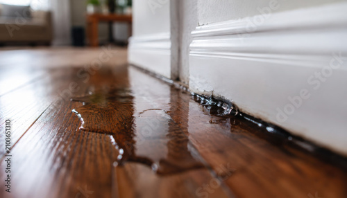 Standing water on polished hardwood floor near baseboard suggests water damage and a possible leak. This image illustrates issues in a home interior. Need for repair.