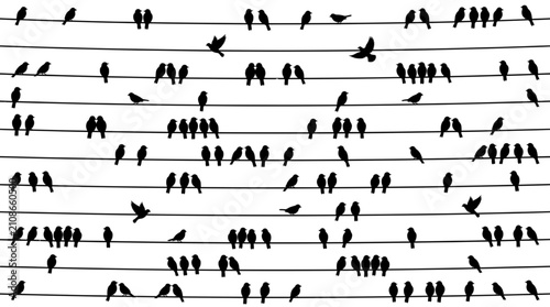A Flock of Birds Perched on Overhead Wires on a Clear Day