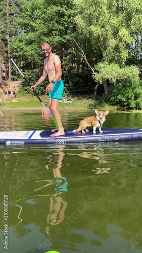 Man paddleboarding with corgi dog on calm water during summer day. Outdoor recreation, companionship, and adventure activity with pet on SUP board. Vertical video.