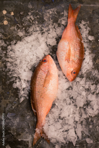 Fresh fish selection at the market.
