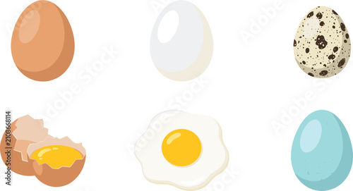 Fotografie Flat egg collection featuring brown white quail blue bird eggs fried egg and bro