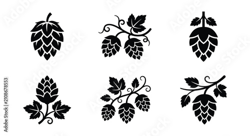 Hop Flowers And Vines Black Silhouette Vector Illustration On White Background