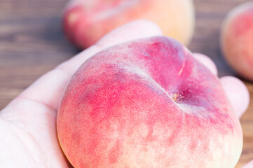 Crédence de cuisine Pantone 2024 Peach Fuzz Person holding a fresh flat donut peach in the palm of hand, shallow depth of field.  © ALEKSFILM