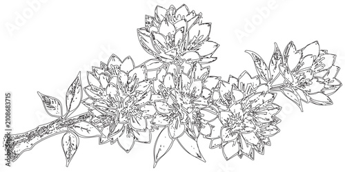 Bild auf Leinwand Black and White Line Drawing of Flowers - A highly detailed black