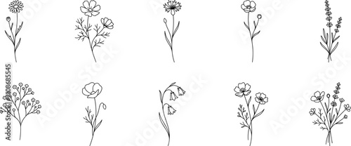 Bild auf Leinwand Wildflower Line Elements Vector Collection – 10 Minimal Botanical Line Art Meado