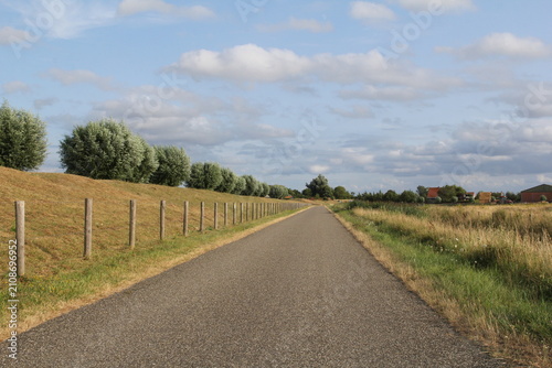 Bild auf Leinwand a country road next to a dike with a meadow and a fence and pollard trees in the