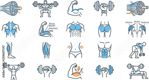 Foto Bodybuilding and Muscle Anatomy Icon Set Featuring Weightlifting Exercises Fitne