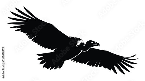 Minimalist black and white vector illustration of a majestic vulture soaring with wings spread wide