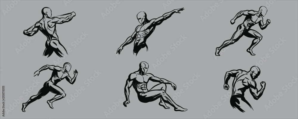 Fototapeta premium Male anatomy sketches ink brush style on a gray background