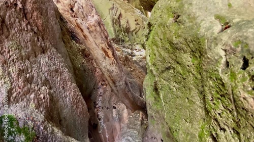 The water flows rapidly through a narrow rocky gorge, and the camera rises, showing mossy walls and a fallen tree. Wildlife Concept, Canyon Exploration, Spring Water. High quality 4k footage