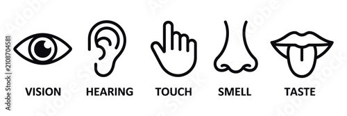Quadro su tela Five senses icon set with human sense organs and sensory perception symbols