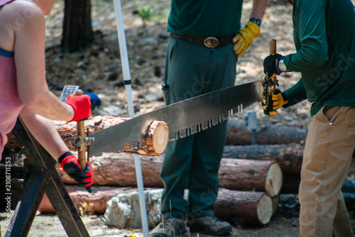 Cuadro en lienzo A Display of how to use a crosscut saw as a team to saw through a log