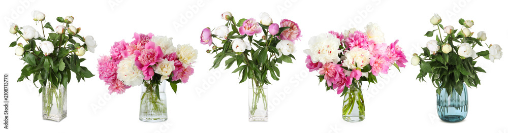 Obraz premium Bright peony flowers in vases isolated on white, set