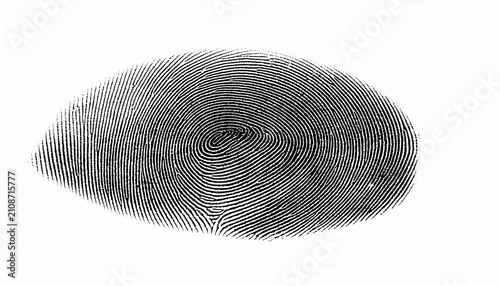 detailed fingerprint pattern isolated on a white background for security identification