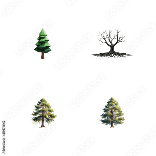 Four diverse tree illustrations evergreen bare and detailed forest trees isolated on transparent background