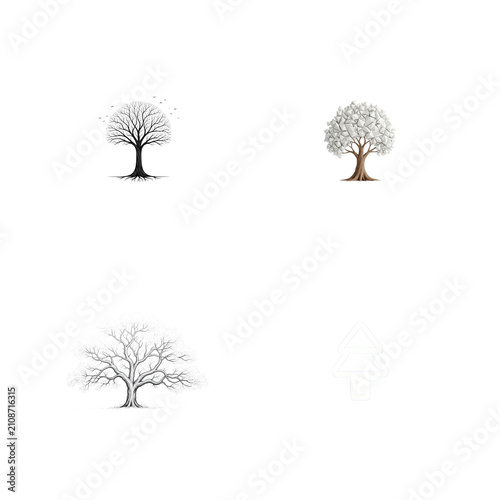 Four tree illustrations seasonal variations isolated on transparent background
