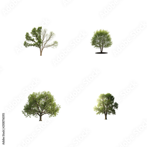 Four realistic trees collection isolated on transparent background for digital compositing