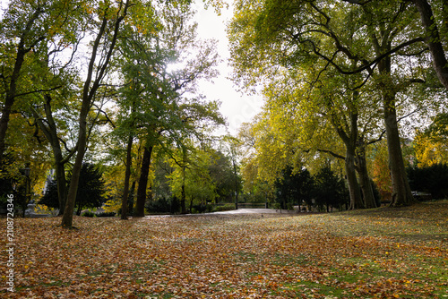 Beautiful Autumn Landscape at the Dusseldorf Hofgarten with Colorful Leaves
