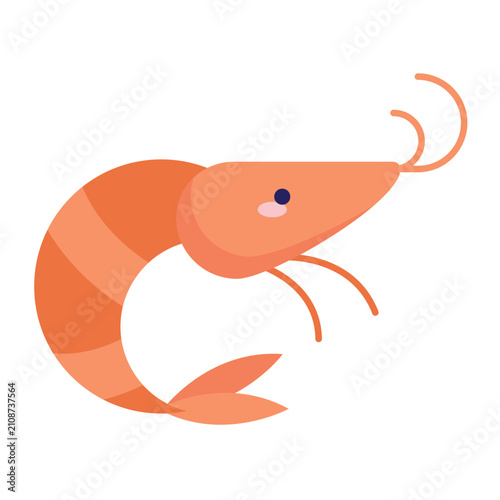 Cute orange shrimp cartoon vector illustration of marine life

