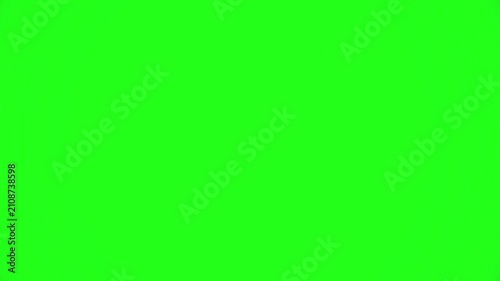 Animated White Speech Bubbles Floating on Green Screen Background
