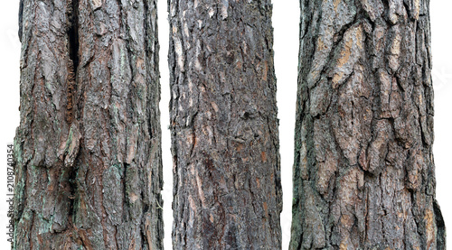 Three different types of pine tree trunks on an isolated background.