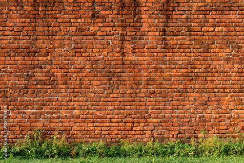 Textured red brick wall with a strip of green foliage at the base