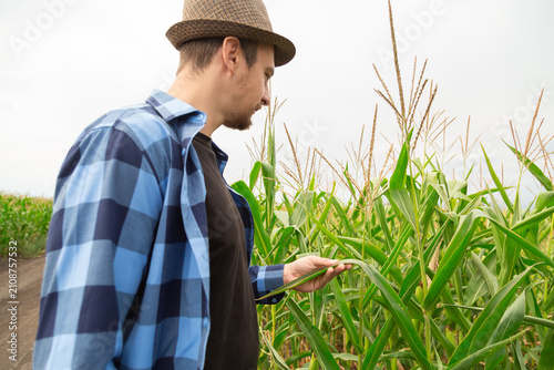 Agronomist examines maize plants beside rural road, evaluating field condition and yield potential. Agronomy knowledge, agronomy research, and agronomy planning support crop production marketing.