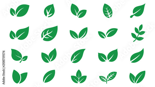 Green leaf icon set with nature organic growth botanical plant and eco friendly symbols for environmental design