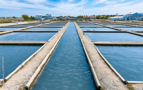 Expansive Rural Pond Farm with Grid Layout and Clear Water Surface