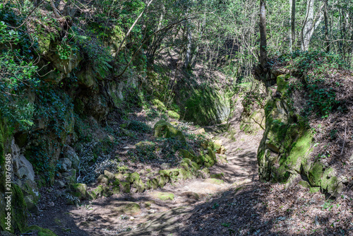 Quadro su tela Etruscan sunken road Via Cava di San Rocco winding through mossy tufa rocks, Sor