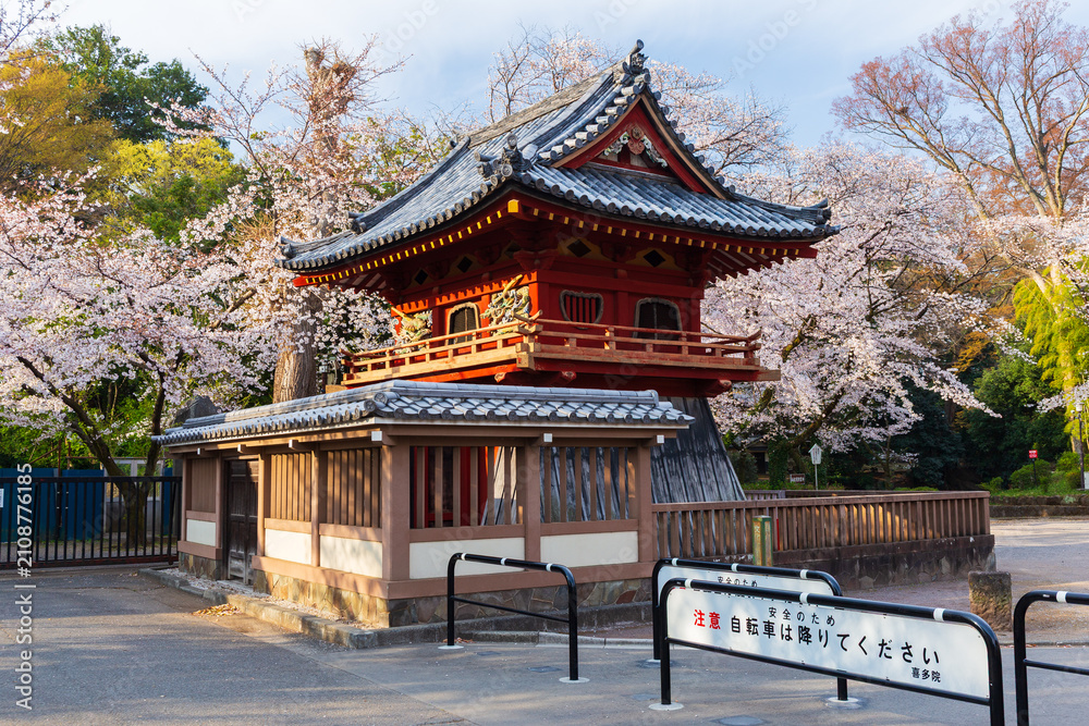 Fototapeta premium 日本の風景・春 埼玉 小江戸川越 喜多院の桜